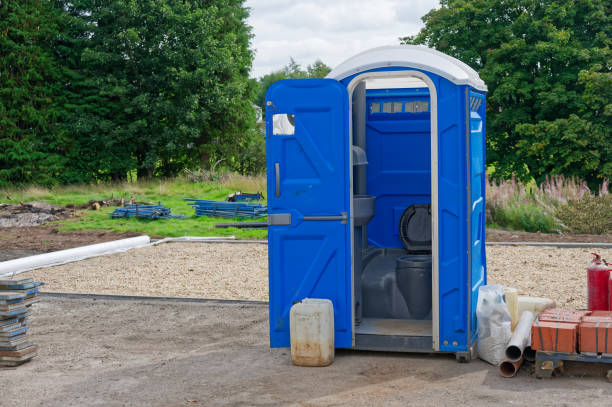 Best Portable Toilets with Baby Changing Stations  in Paradise, NV